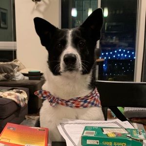 Meet your Posher, Lesli